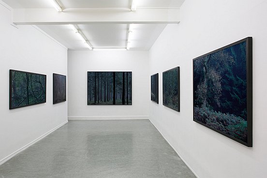 Installation view: Michael Lange at L.A. Galerie 2013