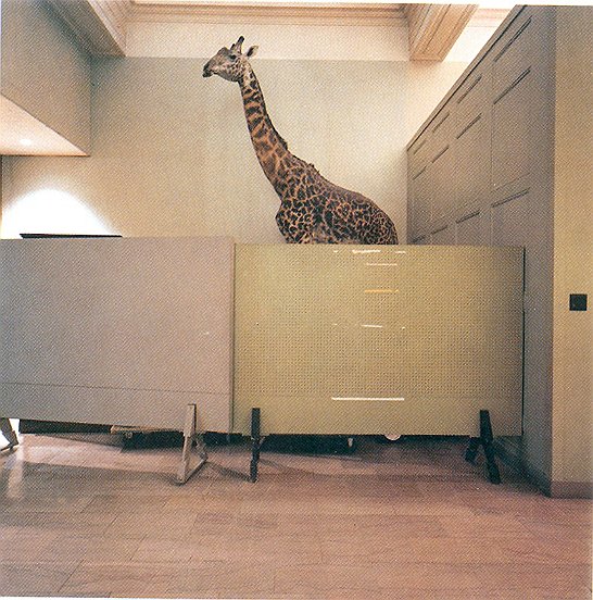 Carnegie Museum, 1993