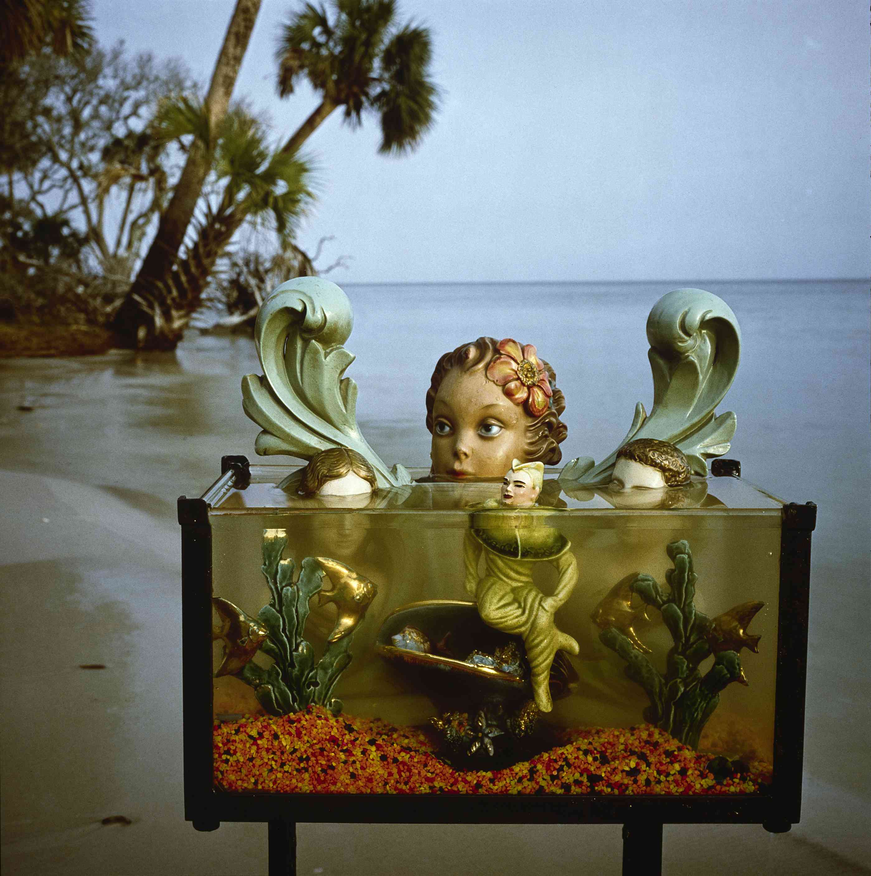 Arthur Tress Fish Tank Sonata