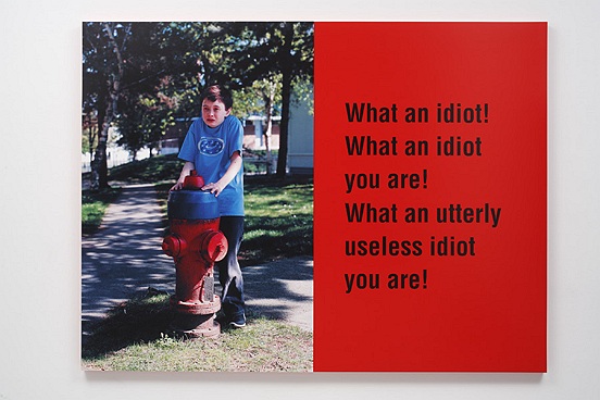 What an idiot !, 2008-2009 aluminium, enamel, c-print, mounted on sintra, 183 x 243 cm